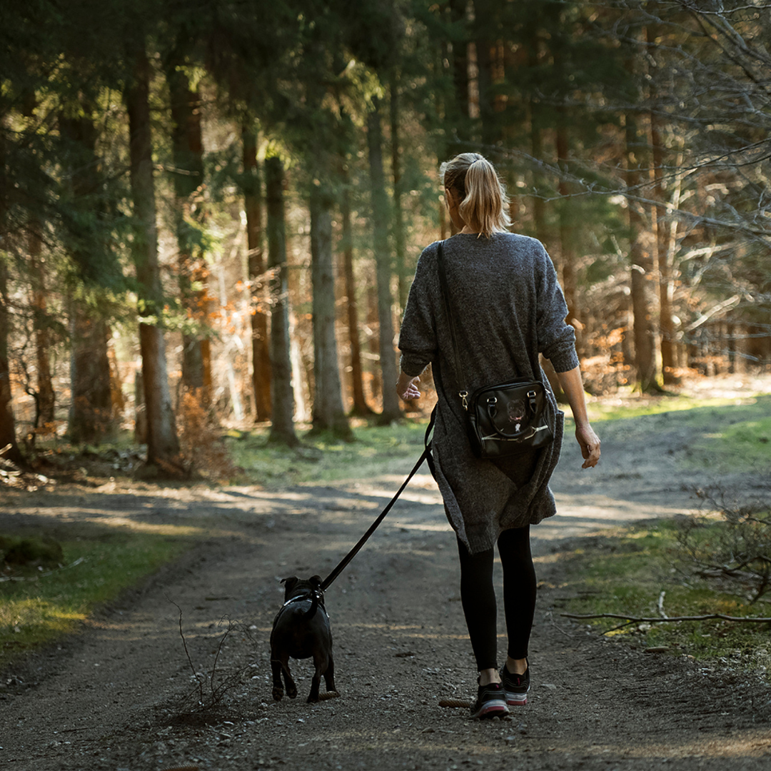 Getting Involved With Walk Your Dog Month