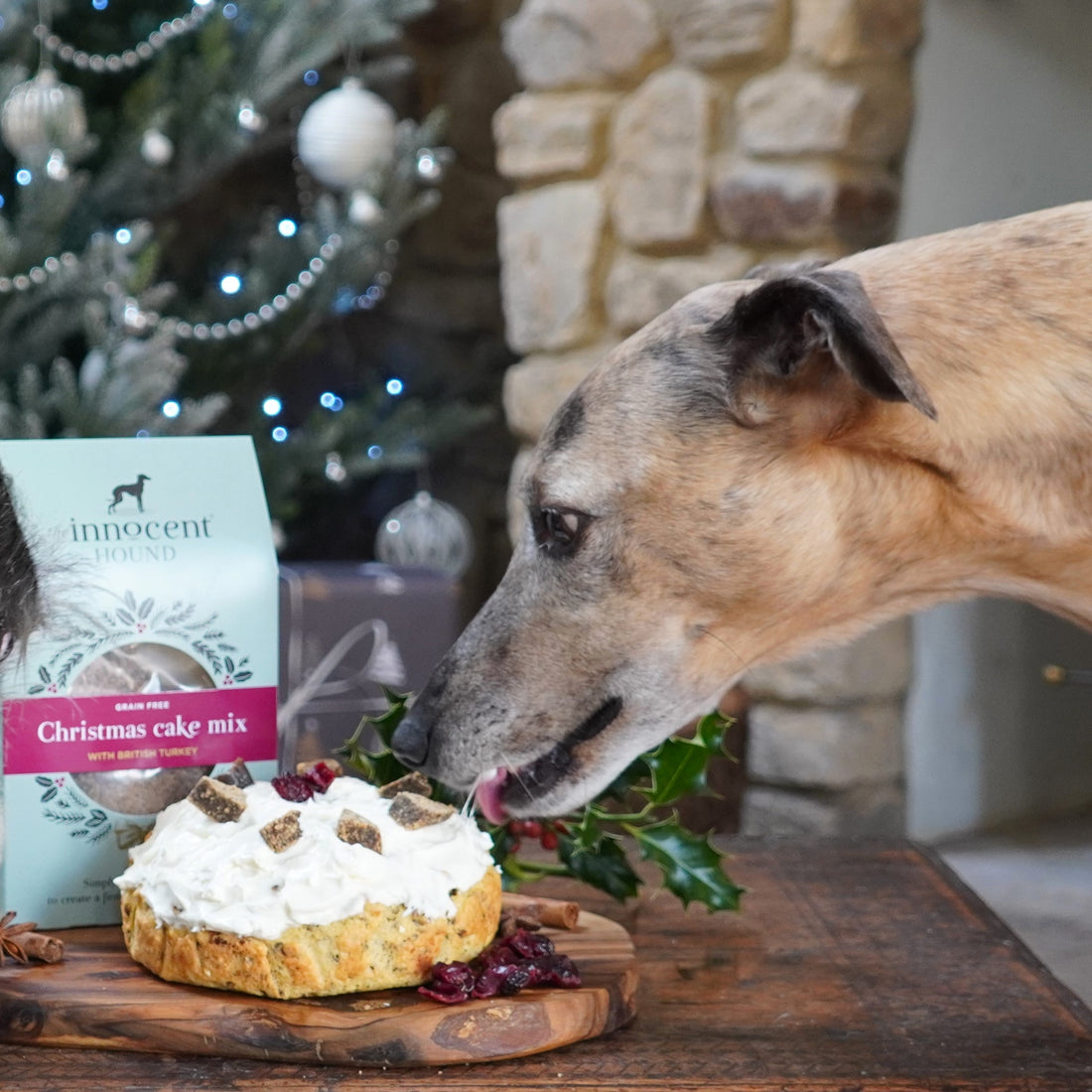 Holiday Bucket List to do with your Hound