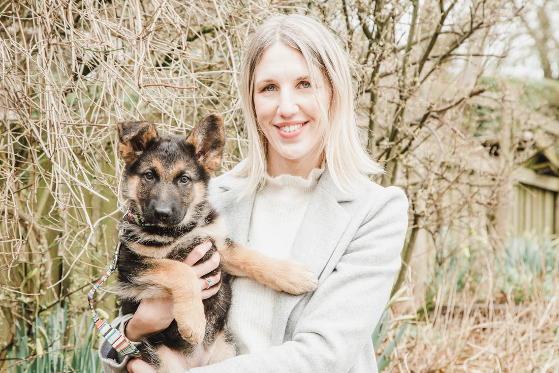 In what ways can I use food treats to help me train my dog?