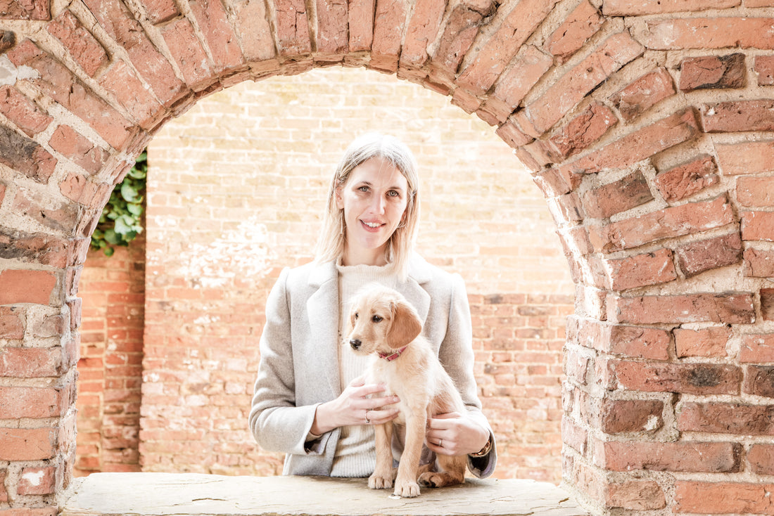 How can I feed my dog their meals in way that enhances their life?