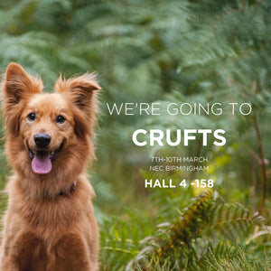 Unleash the Fun at Crufts 2024: The Top 5 Things to Do!