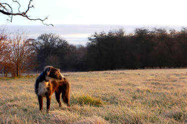 The importance of buying British