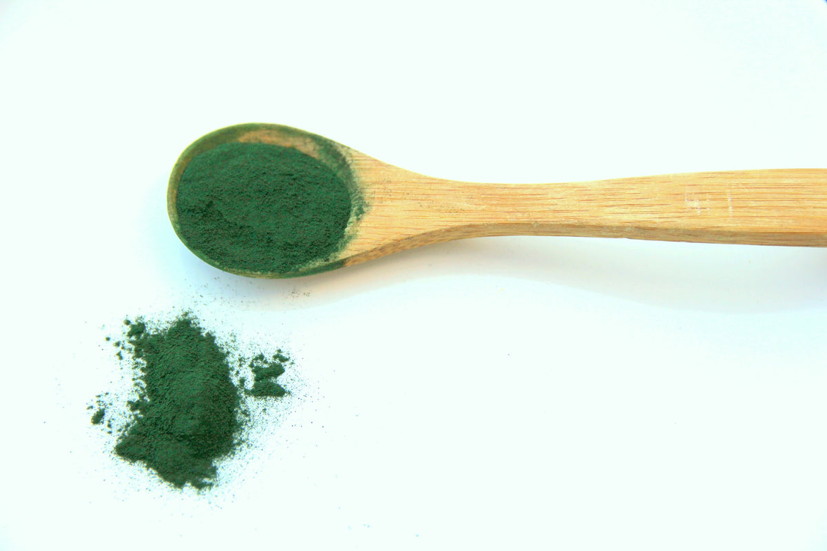 Spirulina Superfood for Dogs? The Innocent Hound