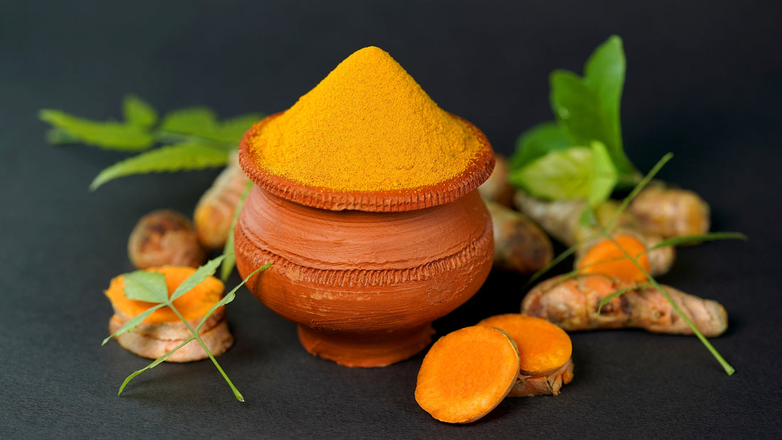 Turmeric – Popular with Humans but what about Hounds?