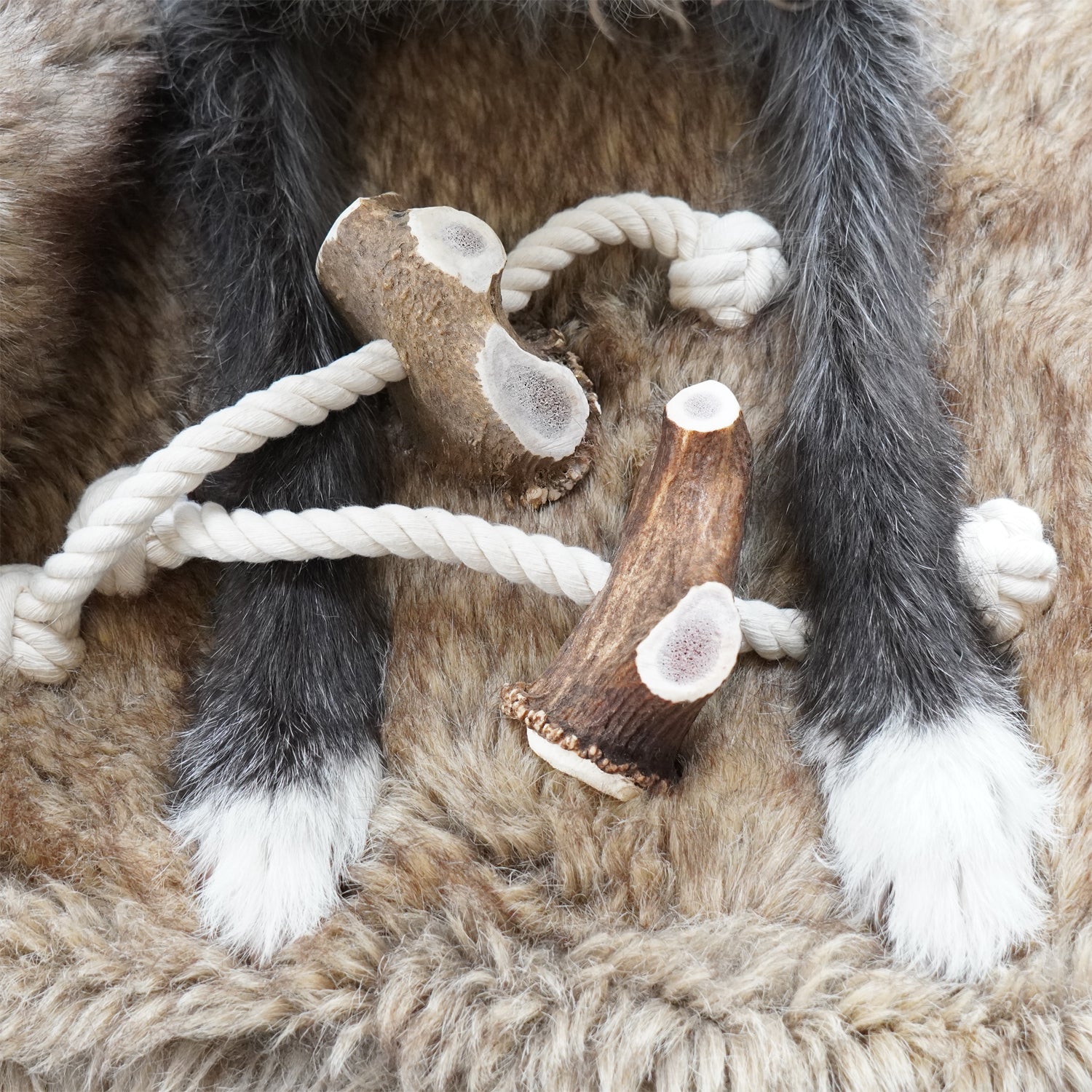 Antler Rope Dog Toy