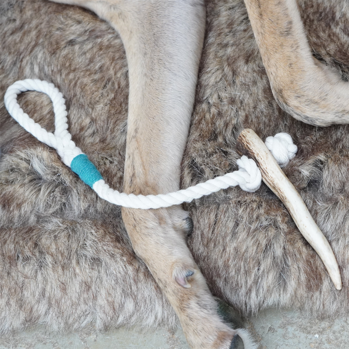 Puppy Antler Rope Toy
