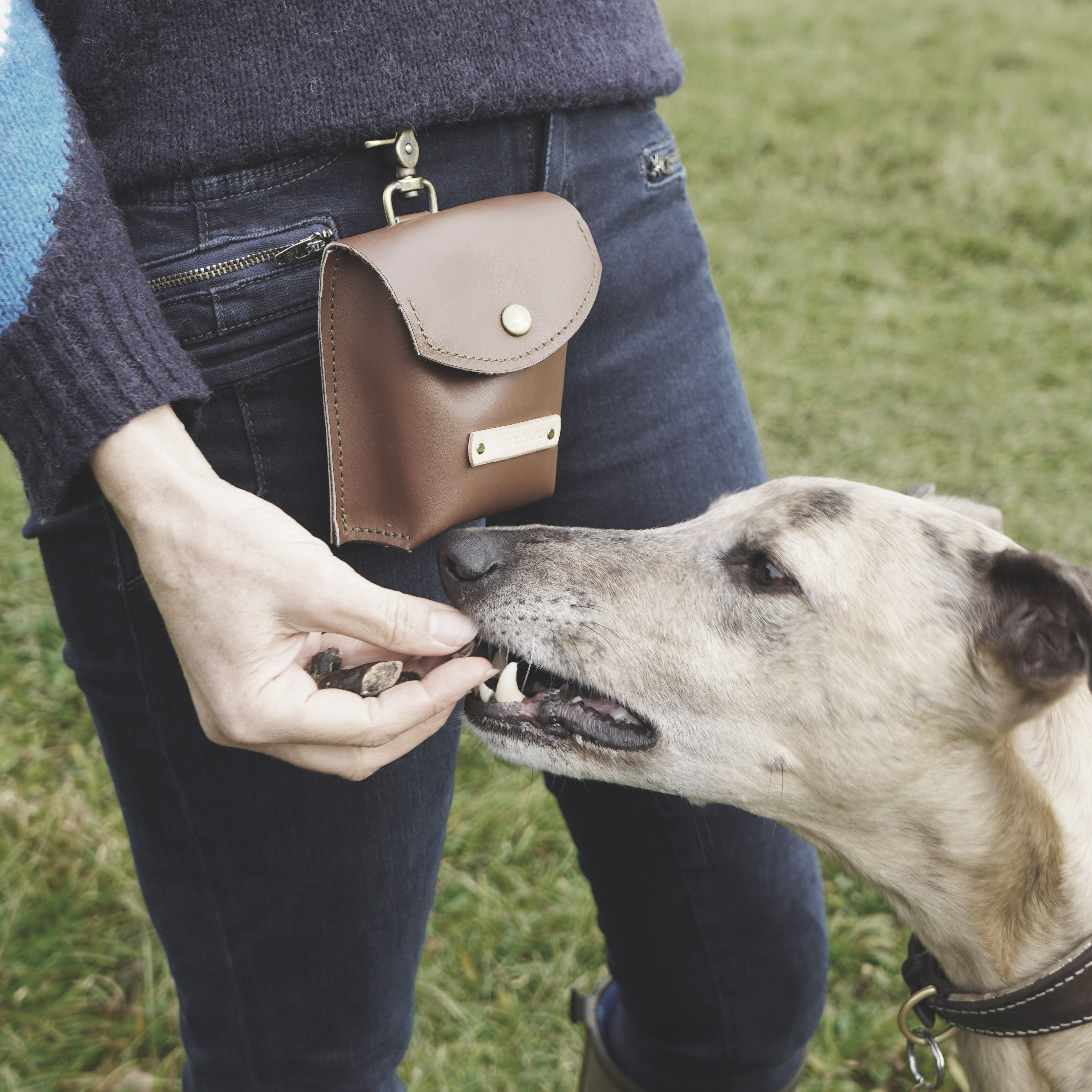 Human & Hound Gift Box