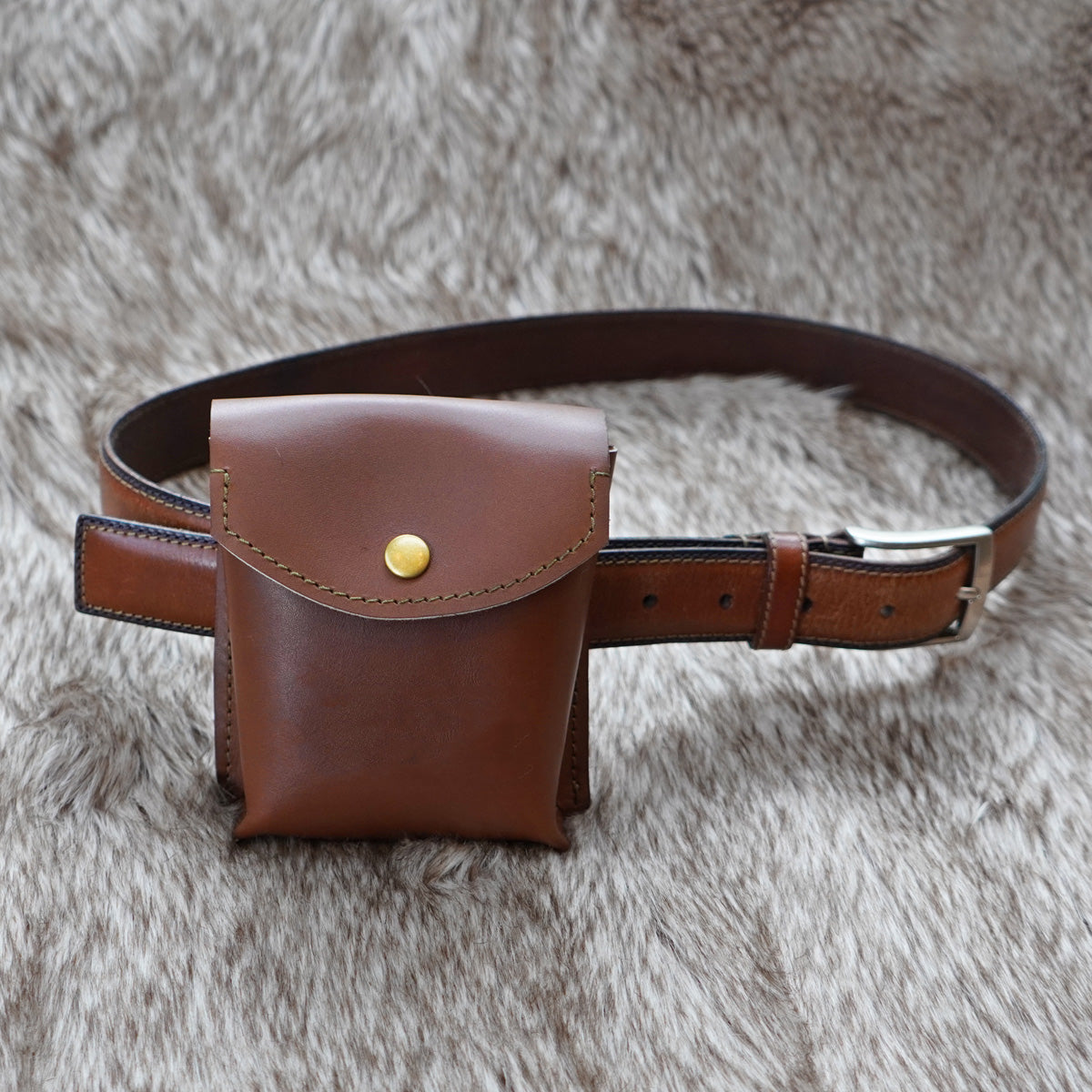 Luxury Leather Treat Pouch