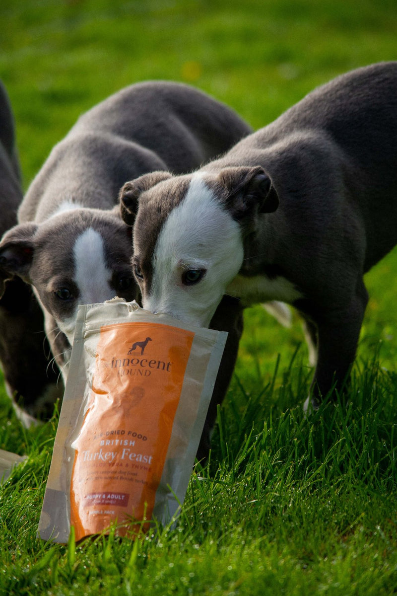 AirDried Dog Food Sample Pack The Innocent Hound