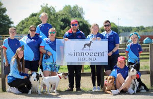 Sponsoring Yorkshire Bouncers Flyball Team