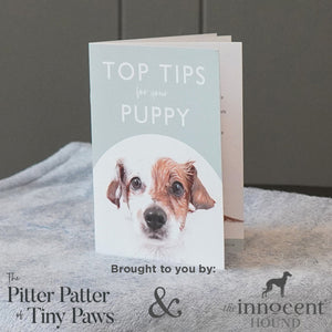 "Top Tips for Your Puppy" giveaway