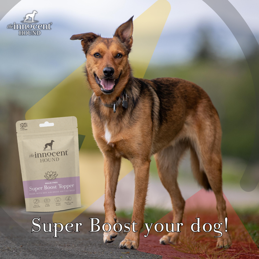 Super boost your dog with the Innocent Hound Super Boost Topper!