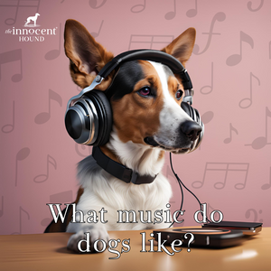 What music do dogs like?