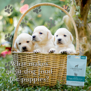 What makes Great Dog Food for Puppies?