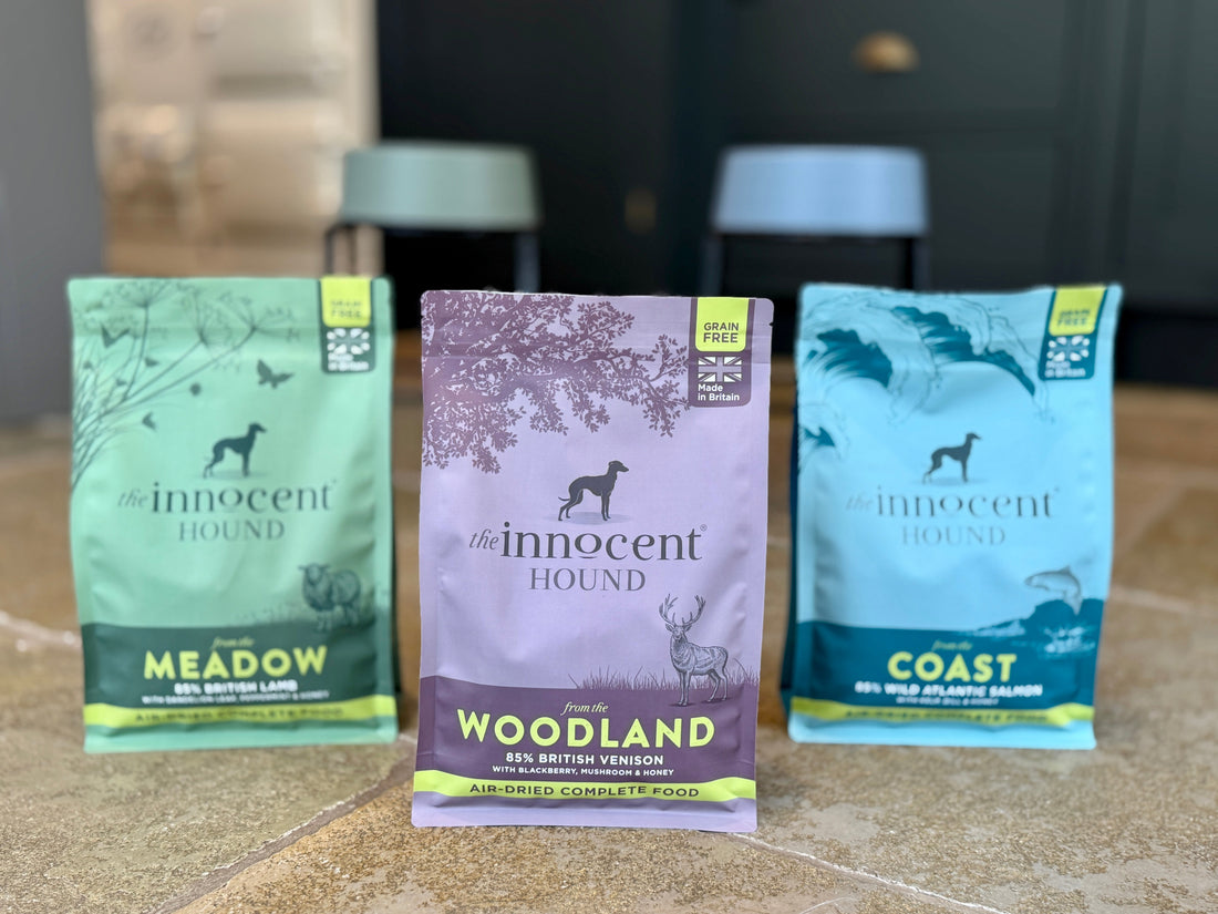 A Taste From the British Countryside to Your Dog’s Bowl