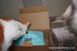 Katzenworld Review: The Innocent Cat Christmas Gift Box