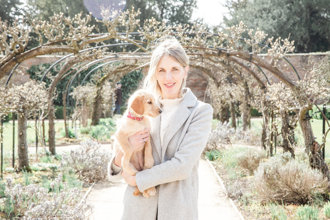 Why use food treats when training your dog?