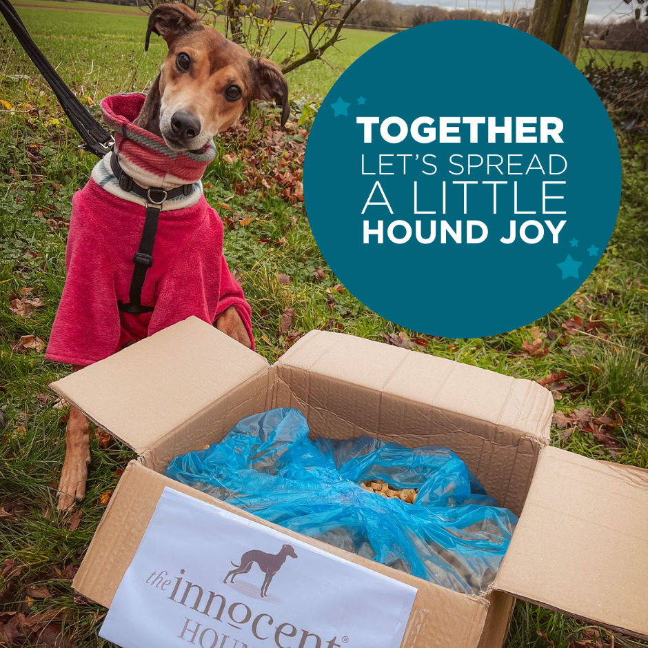 Nominate a Rescue Charity