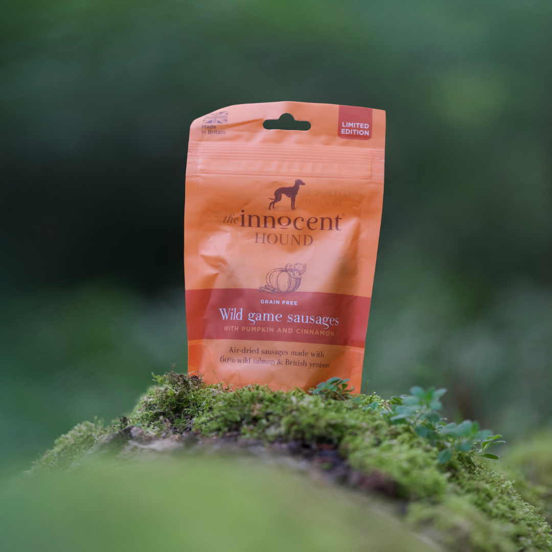 The Positive Health Benefits of Cinnamon and Pumpkin In Your Dog's Diet
