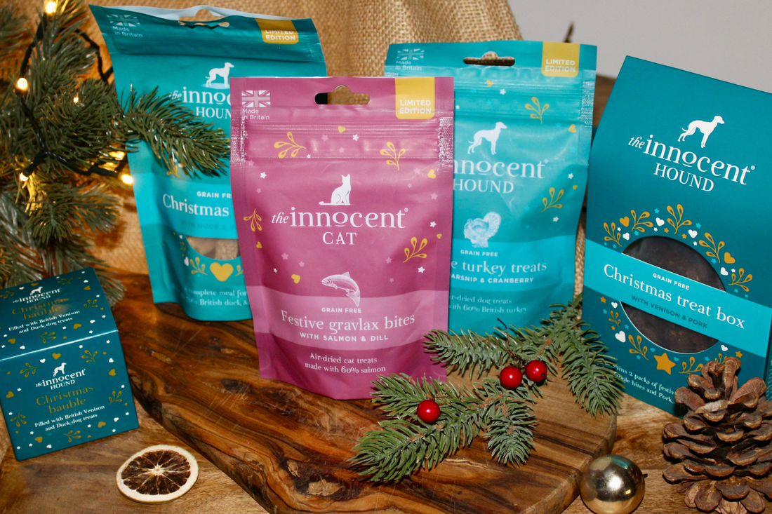 The Innocent Hound Launches Festive Collection for Pets, with a Brand-New Treat Just for Cats