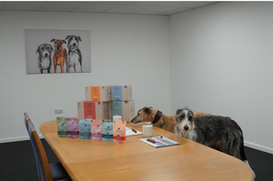 Take Your Dog to Work Day - Friday 23rd June