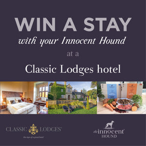 Win a luxury overnight stay with Classic Lodges and The Innocent Hound