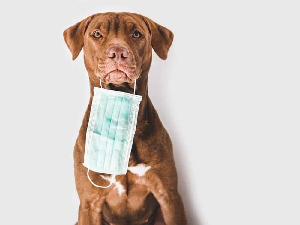 Supporting our retailers throughout Lockdown