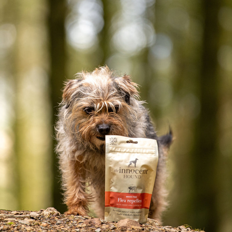 Fine Health - Dog Supplements
