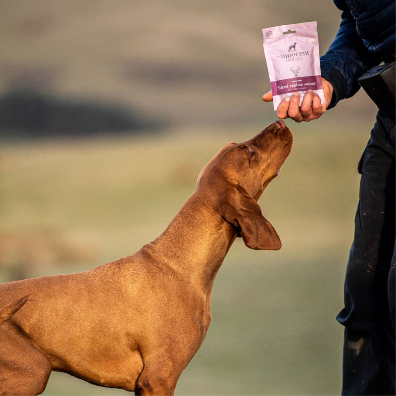 Hungarian Vizsla enjoying grain free hypoallergenic heathy handmade venison dog treats
