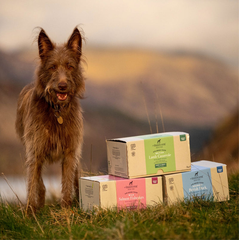 air dried dog food
