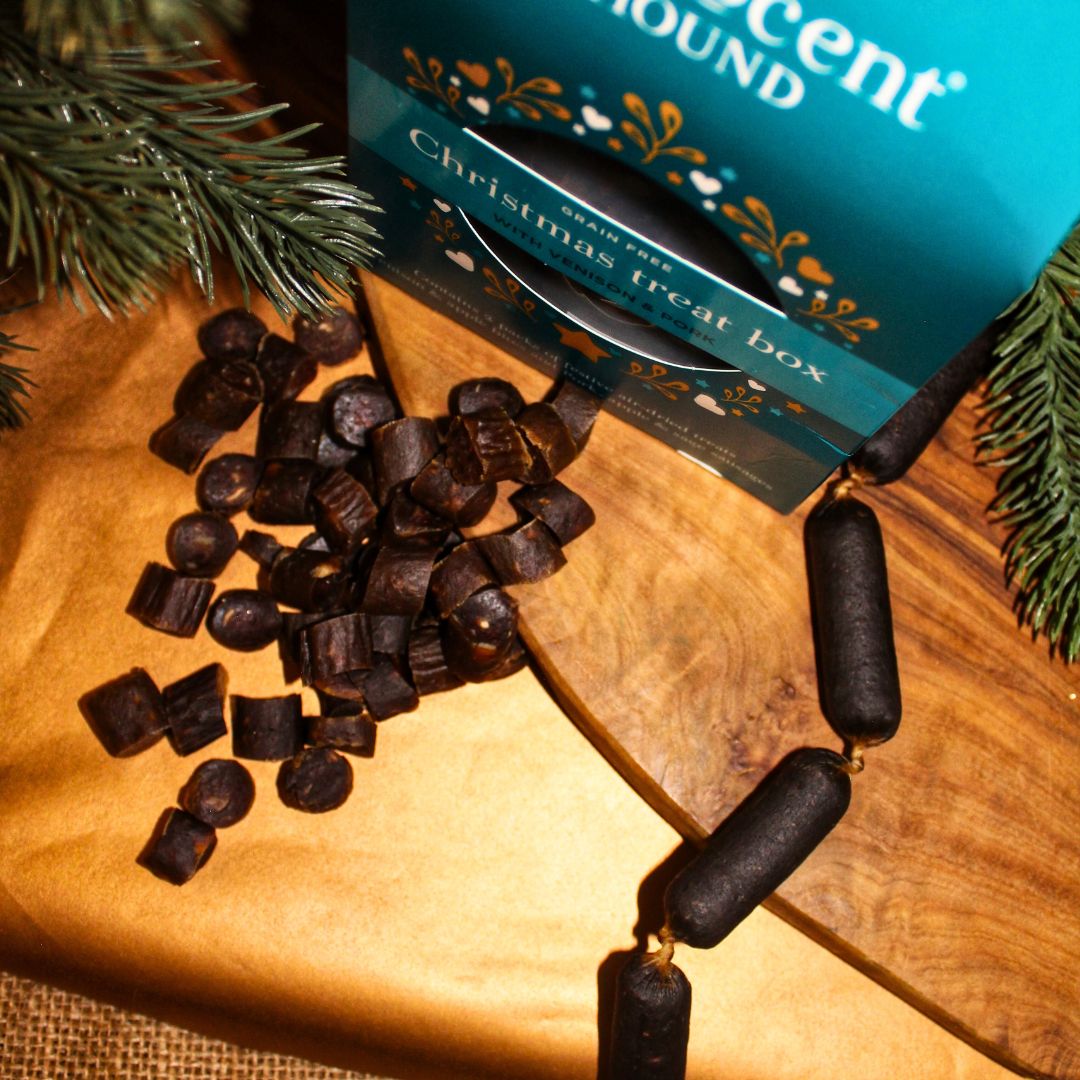 Christmas Treat Box
