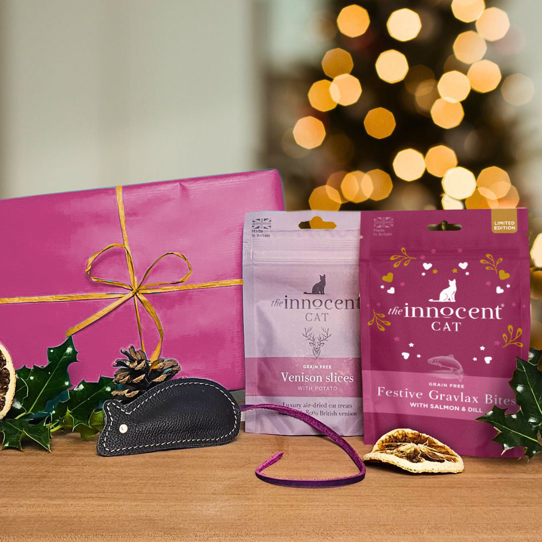 Cat Christmas Gift Box