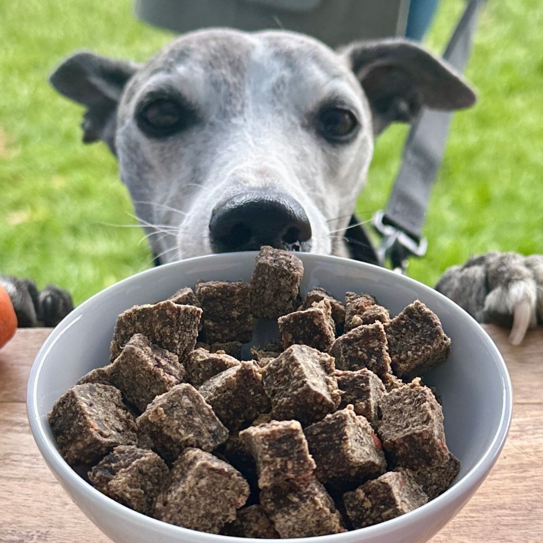 Air-Dried Food - British Lamb Casserole