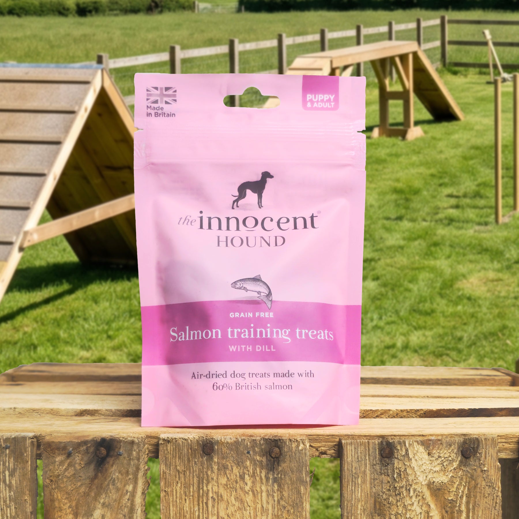 Salmon Training Treats