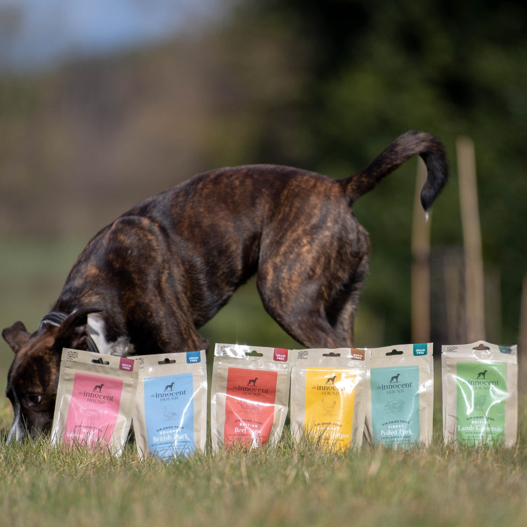 Air-Dried Dog Food - Sample Pack