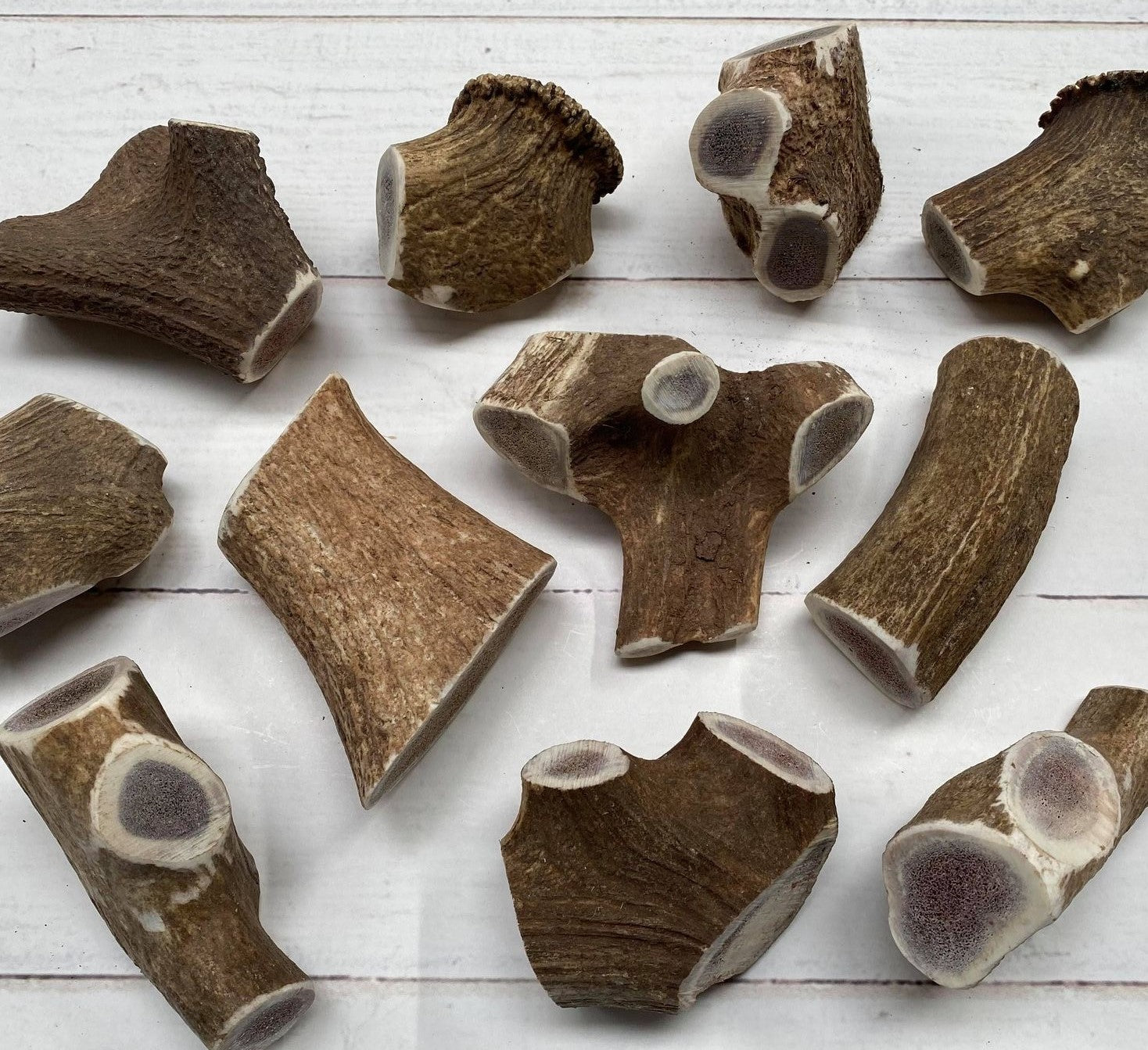 long lasting dog dental chew British deer antler 