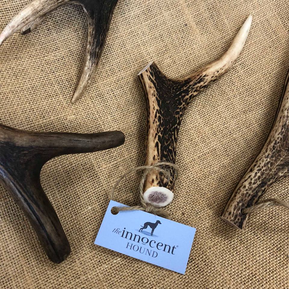 Long lasting British Deer Antler Dog Chew The Innocent Hound