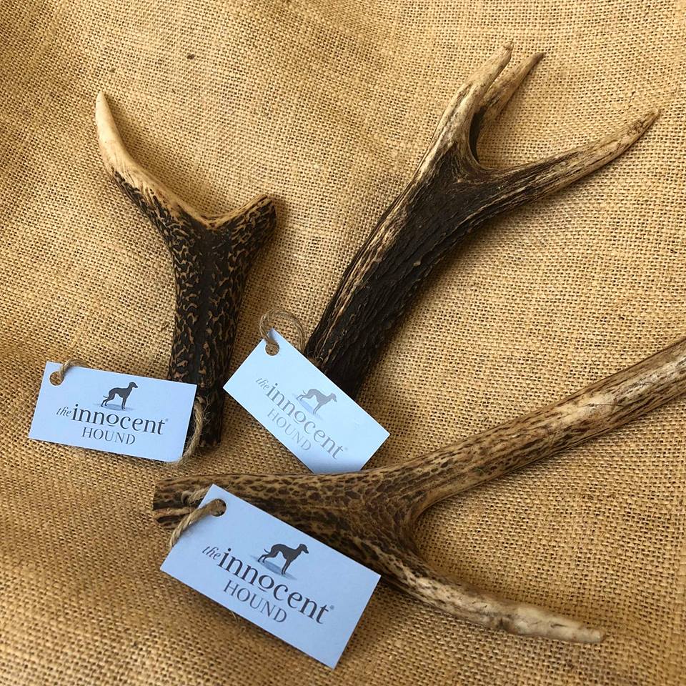 long lasting dental British Deer Antler Dog Chew The Innocent Hound