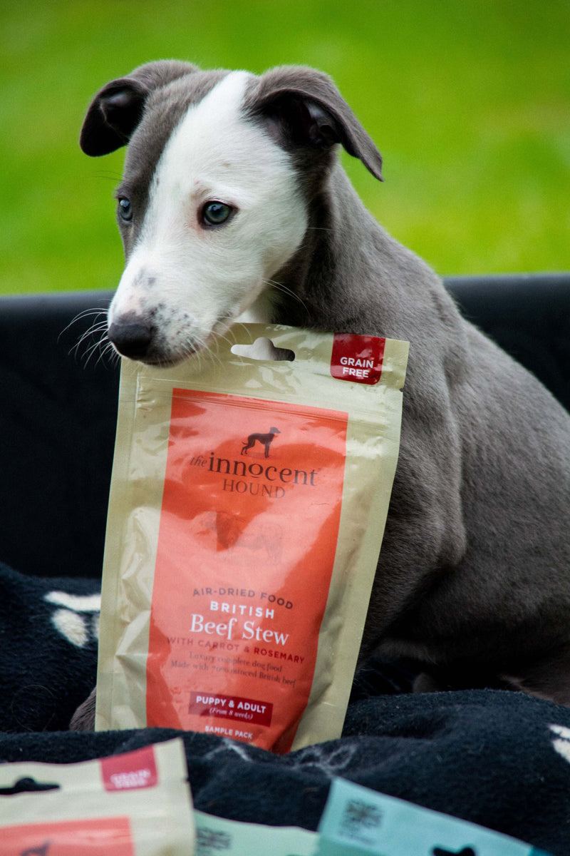 AirDried Dog Food Sample Pack The Innocent Hound