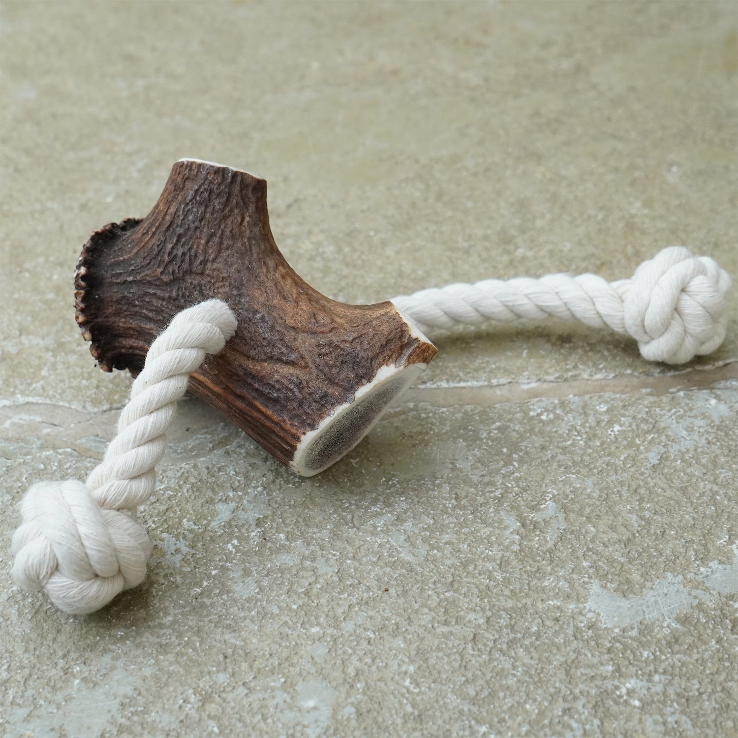 Antler Rope Dog Toy