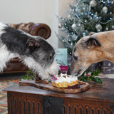 The Innocent Hound - Christmas Cake Mix for Dogs with Resident Owners Ziggy and Mash