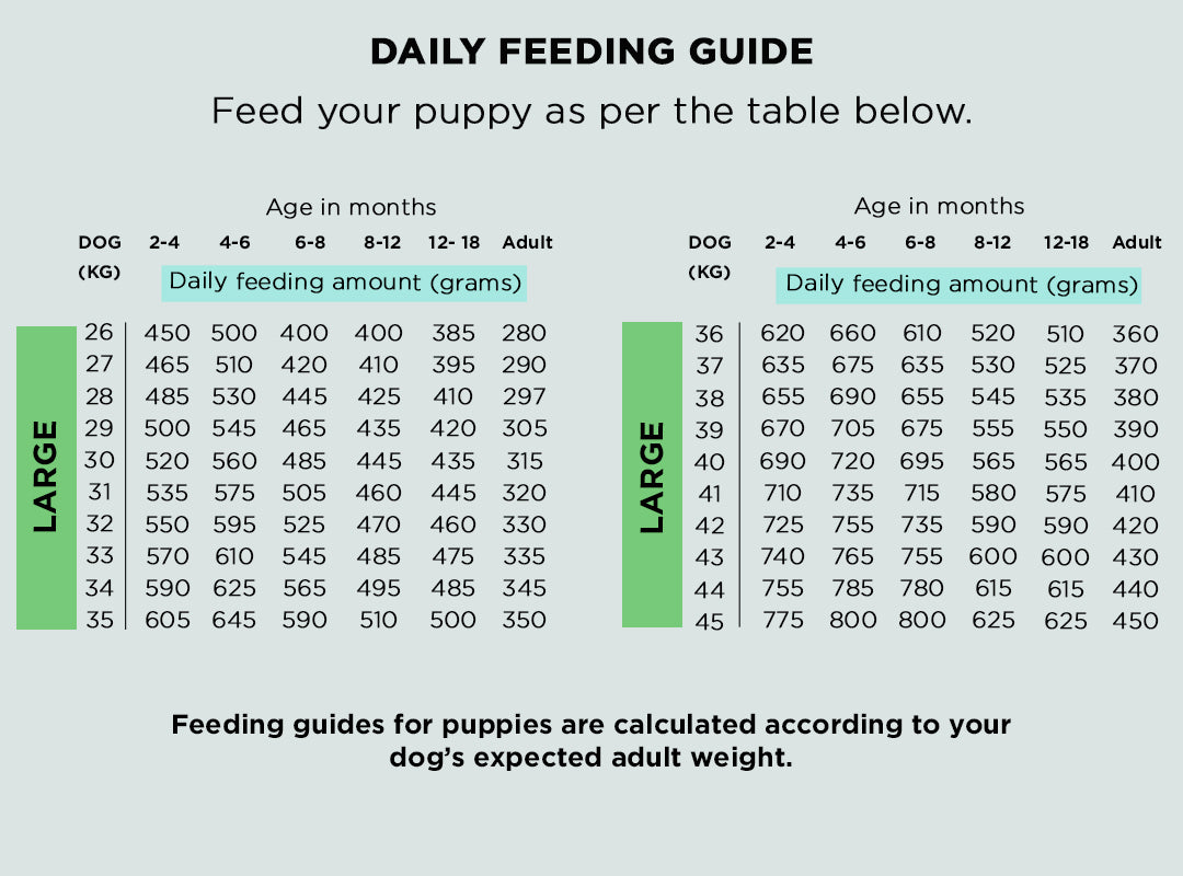 Air-Dried Dog Food - Sample Pack