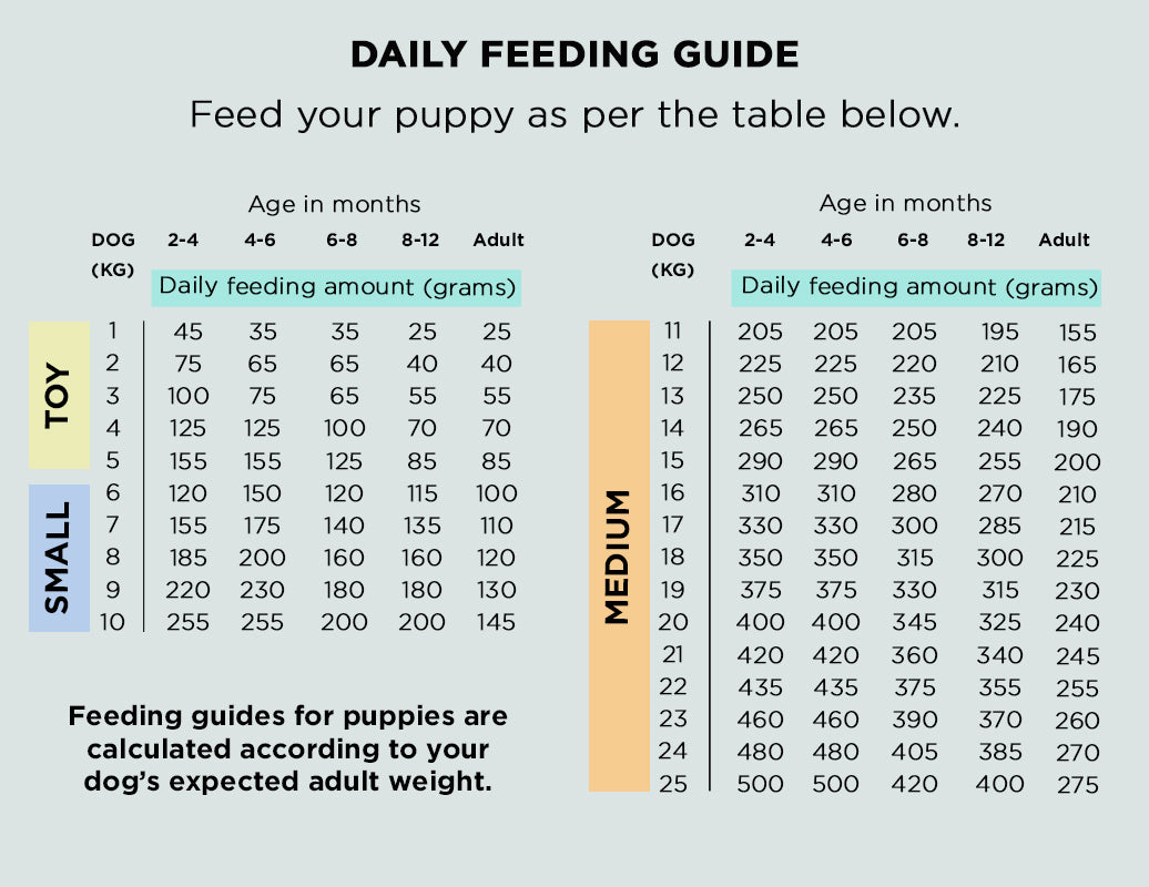 Air-Dried Dog Food - Sample Pack