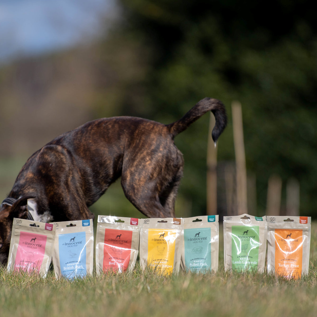 AirDried Dog Food Sample Pack The Innocent Hound