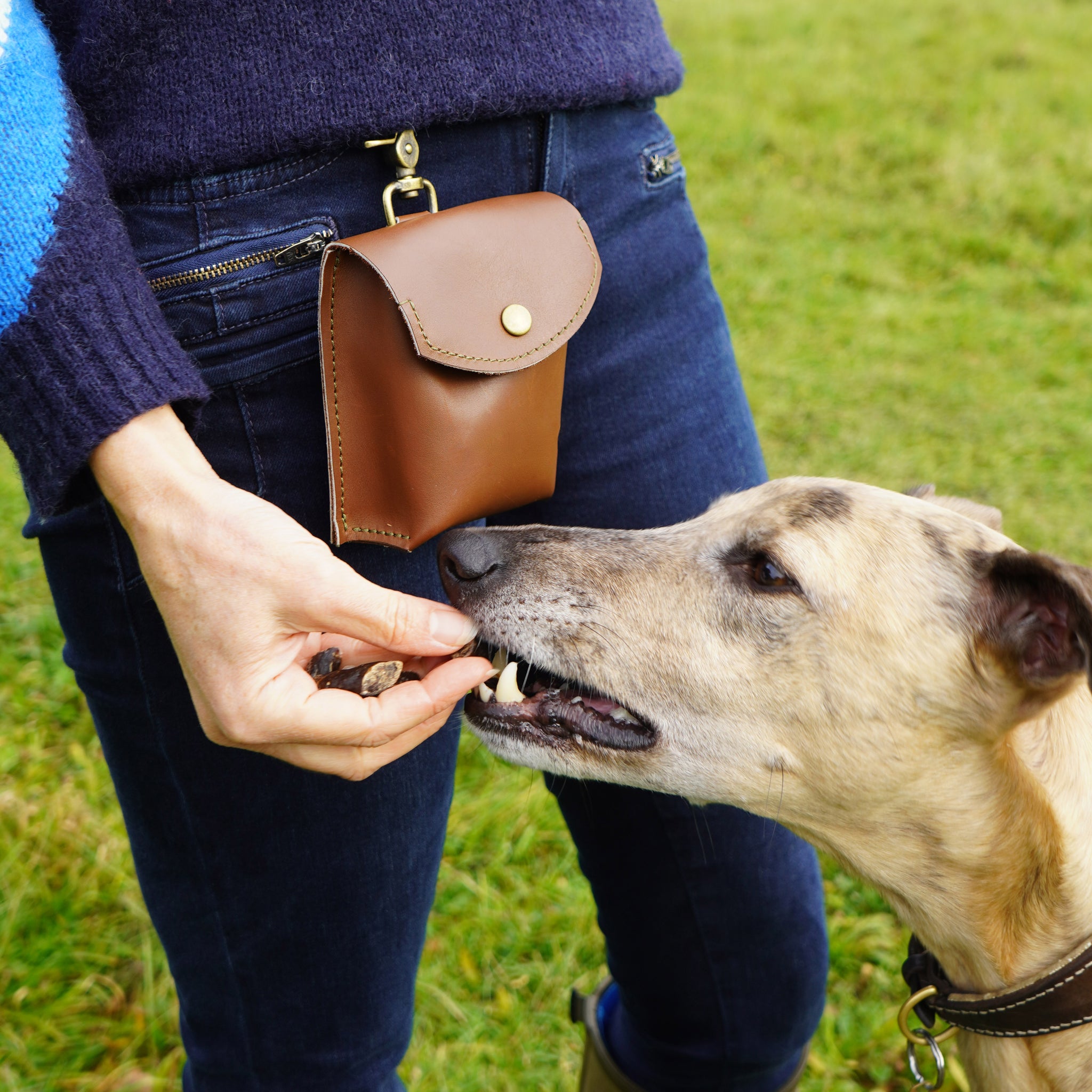 Personalised Leather Dog Treat Bag