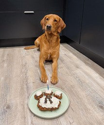 Birthday Cake Mix - Grain Free