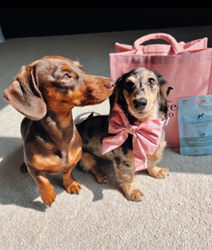 #myinnocenthound Shopping Bag